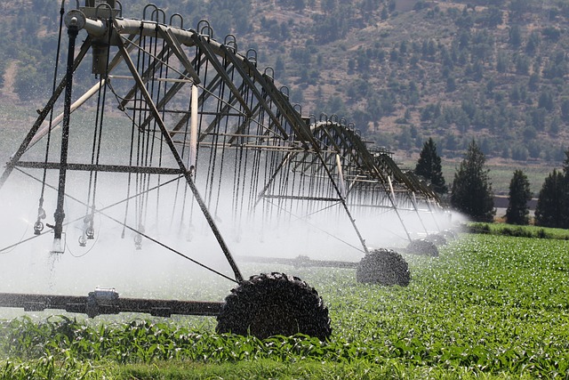 irrigation, sprinklers, agriculture